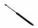 GASSFJ�R L:405mm 80 kg