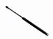 GASSFJ�R L:405mm 70 kg