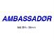 SKILT "AMBASSAD�R" BL�
